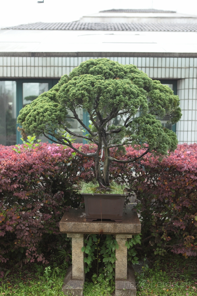 EOS 5D Mark II16_04_20135066.JPG